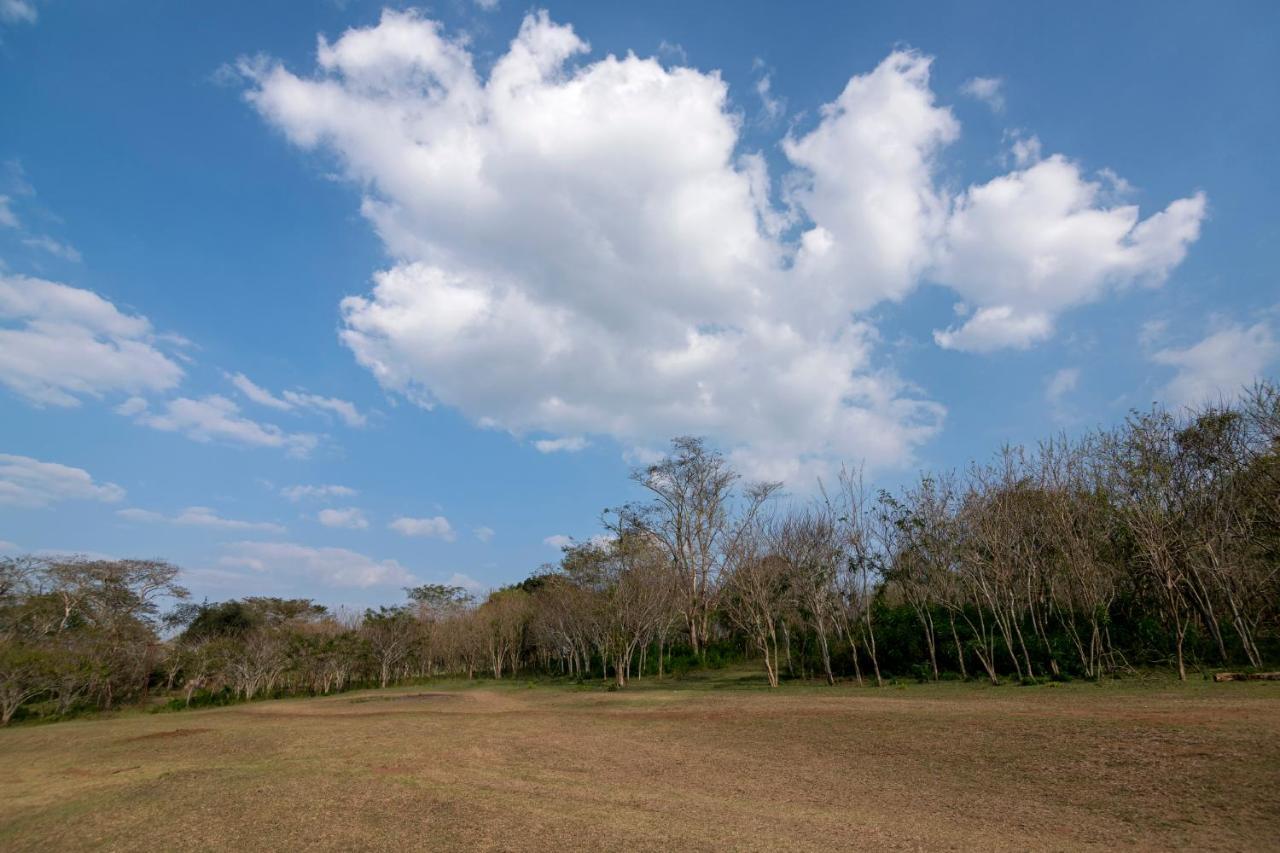 Bamboo Banks Farm & Guest House Masinagudi Exterior photo